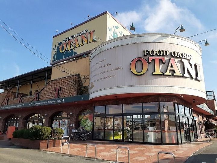 栃木県宇都宮市鶴田町(アパート)の賃貸物件の周辺