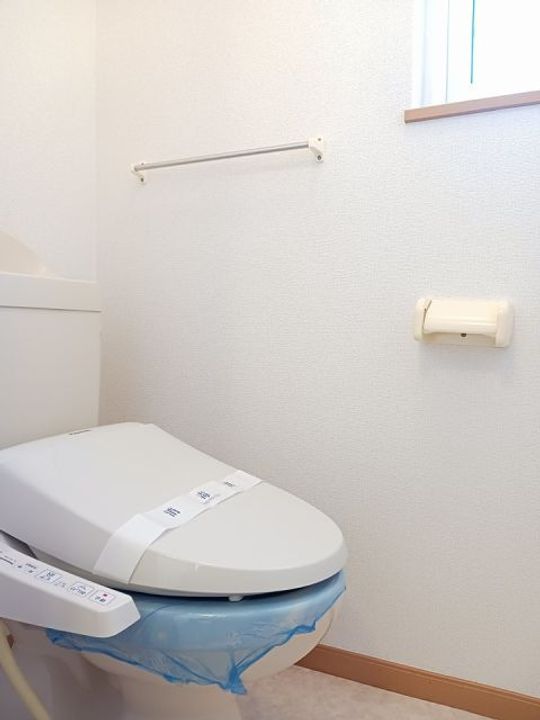 栃木県佐野市犬伏新町(アパート)の賃貸物件の内装