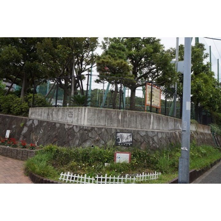 コリーナ横浜子安台の周辺