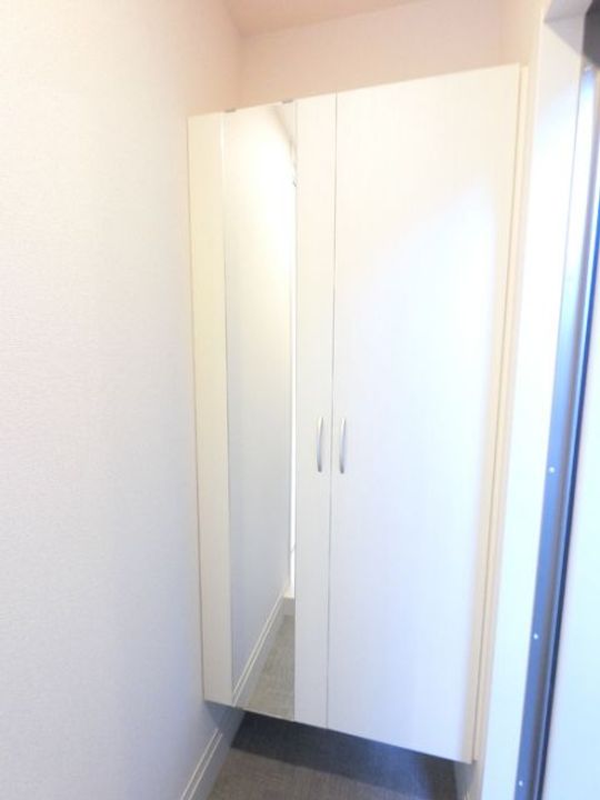 群馬県太田市新野町(アパート)の賃貸物件の玄関