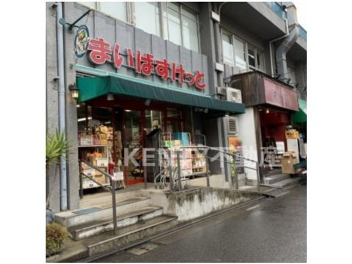 ウエル田園調布の周辺