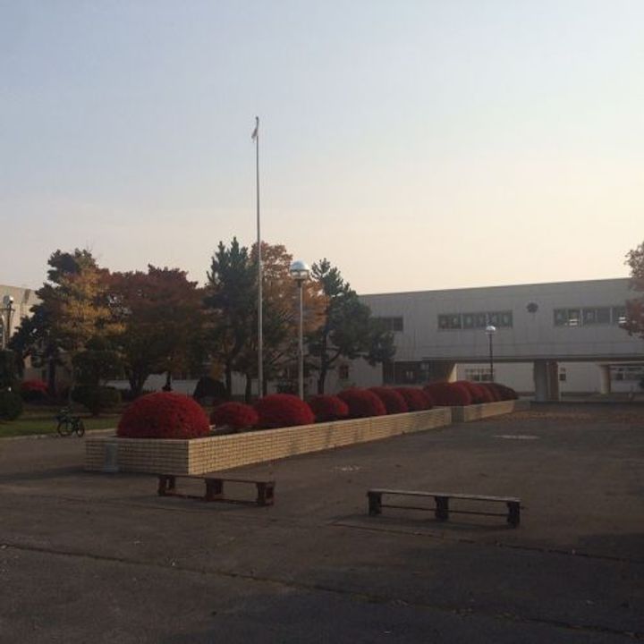 ハマナスハイツの周辺