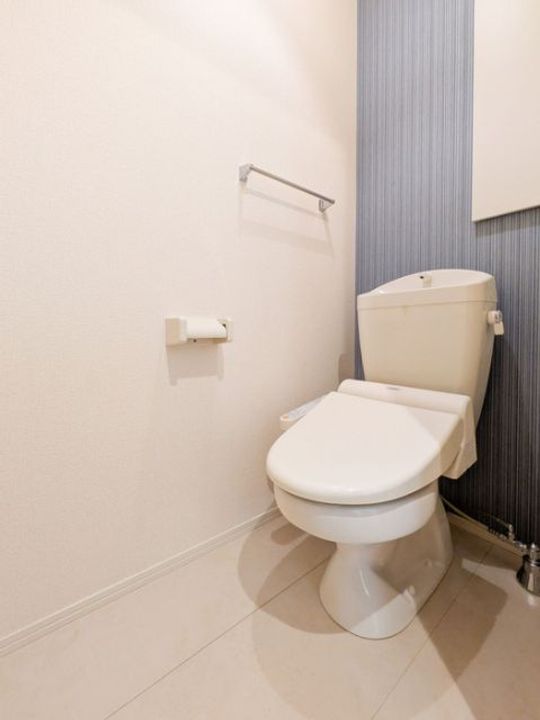 埼玉県さいたま市桜区大字大久保領家(アパート)の賃貸物件の内装