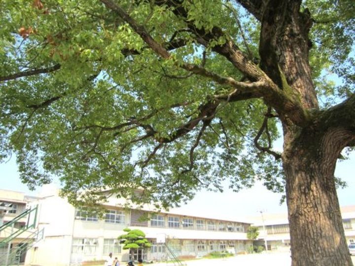 広島県福山市多治米町3(アパート)の賃貸物件の周辺
