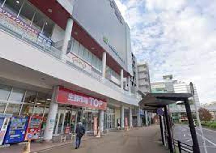 千葉県流山市向小金1(アパート)の賃貸物件の周辺