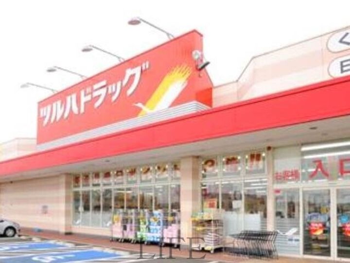 フェリシティの周辺