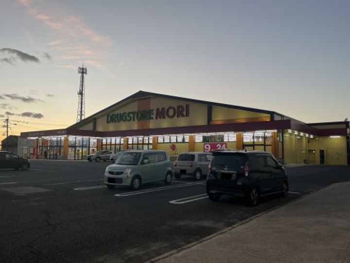 ドミールIの周辺