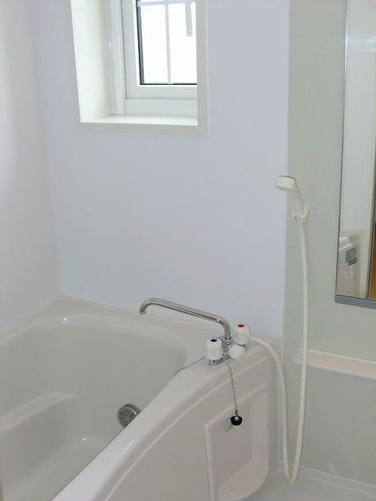 埼玉県北葛飾郡杉戸町大字堤根(アパート)の賃貸物件の風呂