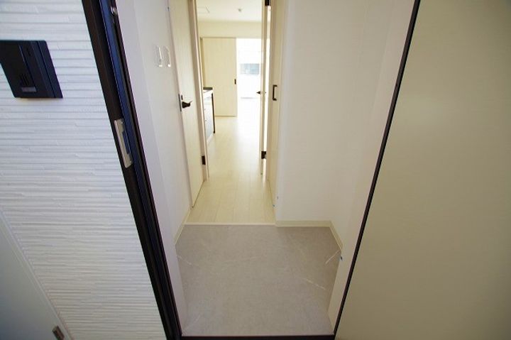 大阪府寝屋川市萱島桜園町(アパート)の賃貸物件の玄関