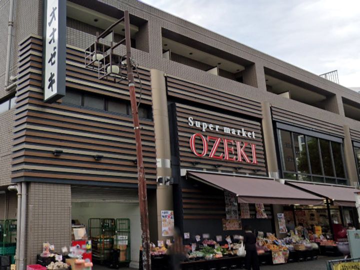 レピュア池上レジデンスの周辺