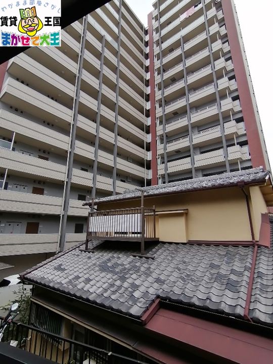 アレグリア幸のその他画像