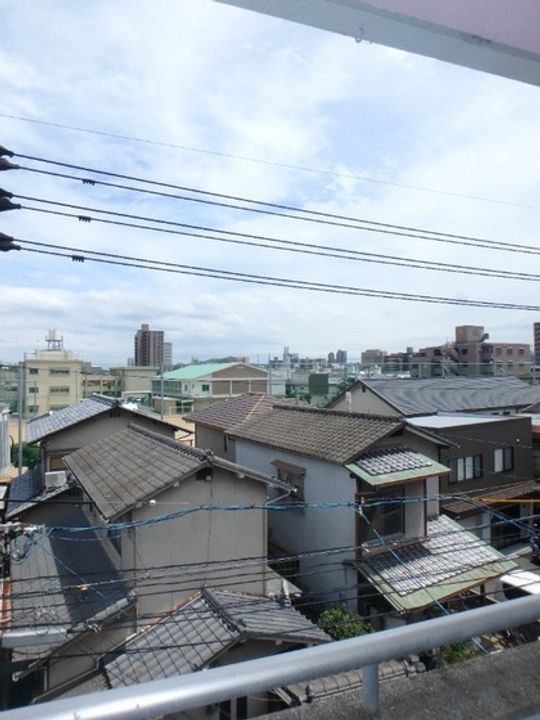 セリーヌ伊島のその他画像