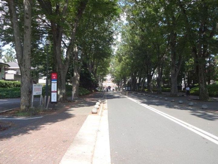 アベリア武蔵野の周辺