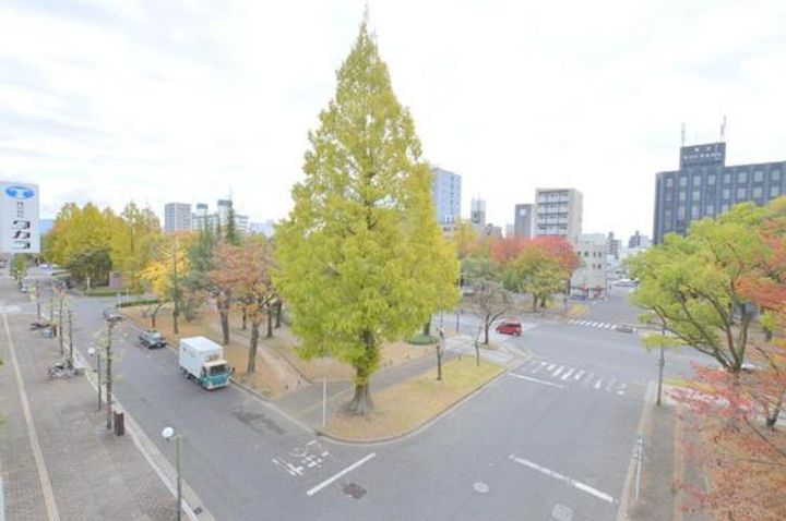 広島県広島市西区観音町(マンション)の賃貸物件のその他画像