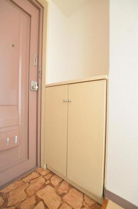 広島県広島市西区観音町(マンション)の賃貸物件の玄関