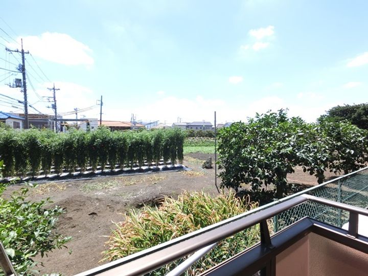 メゾンドールのその他画像