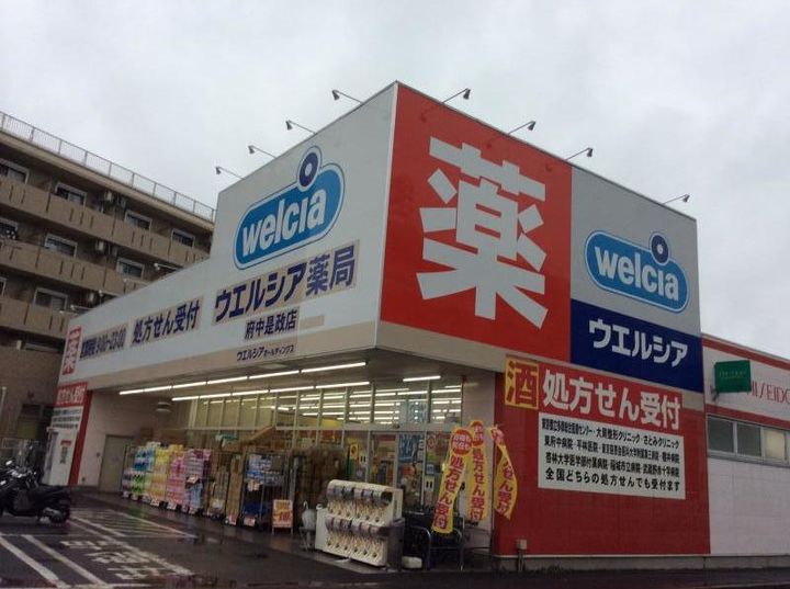 東京都府中市是政5(マンション)の賃貸物件の周辺