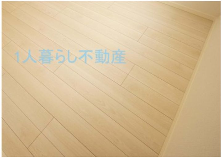 東京都大田区大森中2(マンション)の賃貸物件の内装