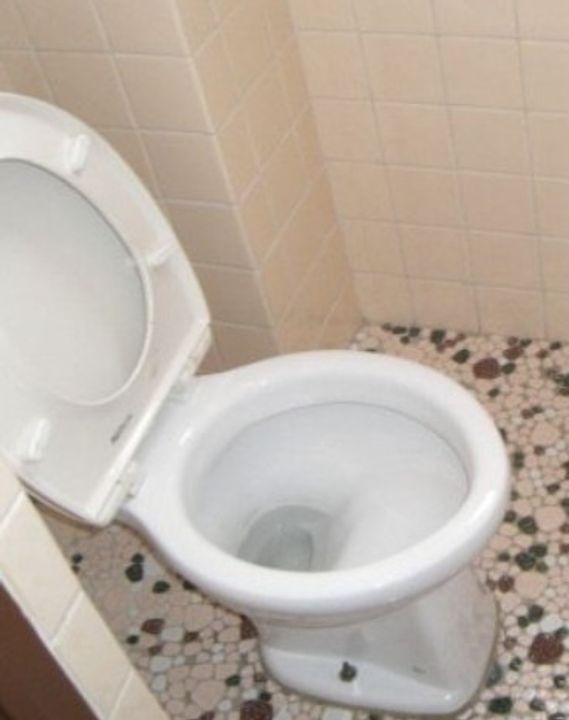 東京都北区滝野川1(マンション)の賃貸物件の内装