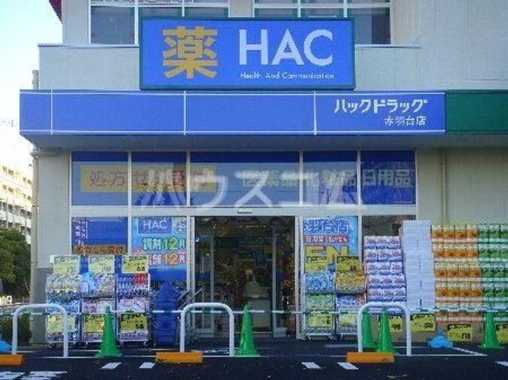 カーサフローラIIの周辺