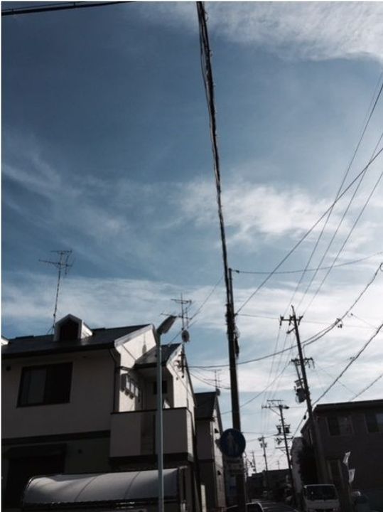 サンパレスのその他画像