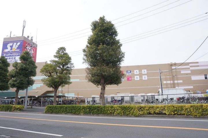 ステップ元山の周辺