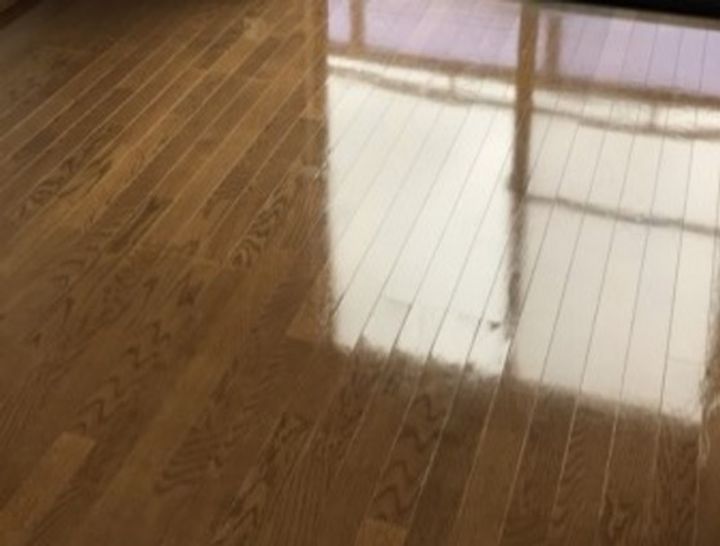 サザンクロスの内装