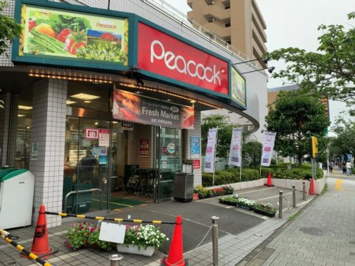 セゾン桜新町Bの周辺