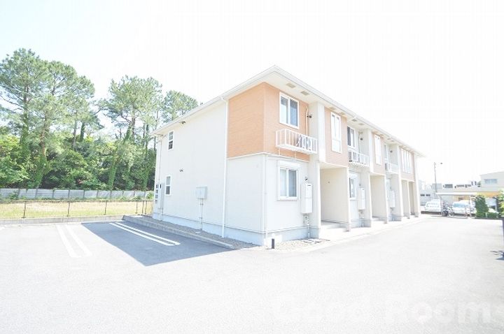 徳島県阿南市橘町幸野(アパート)の賃貸物件の外観