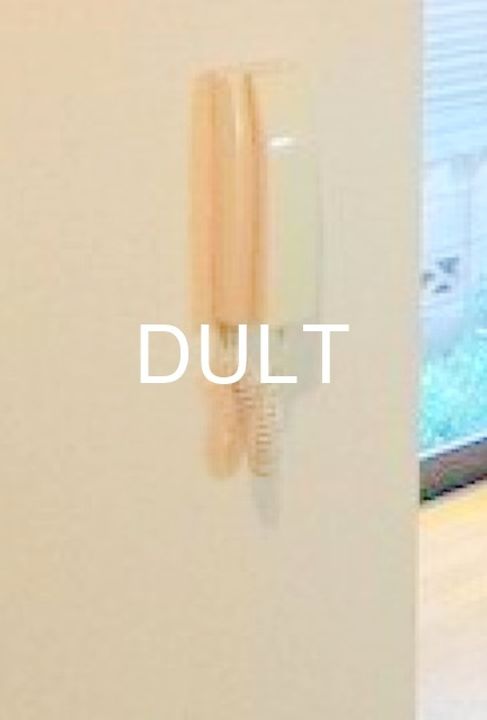 東京都豊島区目白2(アパート)の賃貸物件の内装