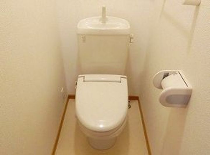 兵庫県加西市北条町北条(アパート)の賃貸物件の内装