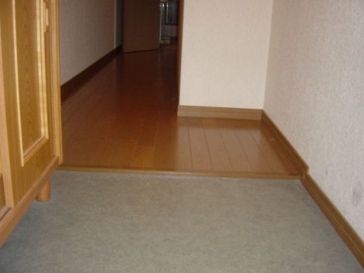 エレガント鬼塚VIの玄関