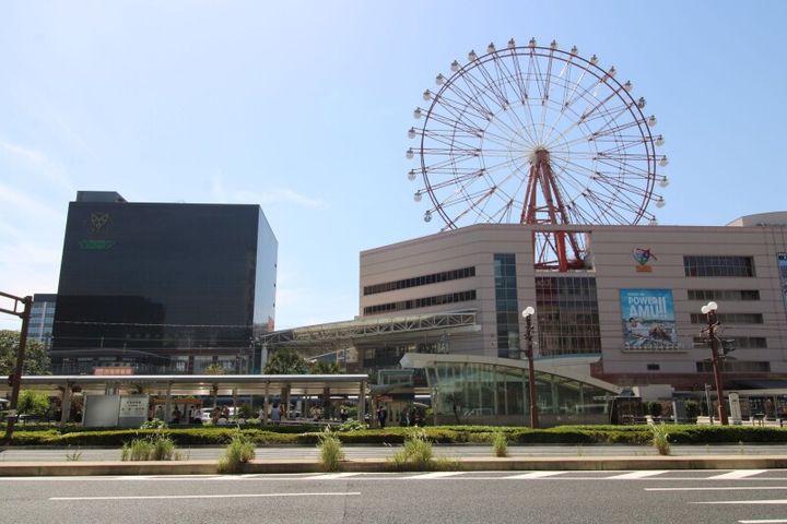 パルム中央の周辺
