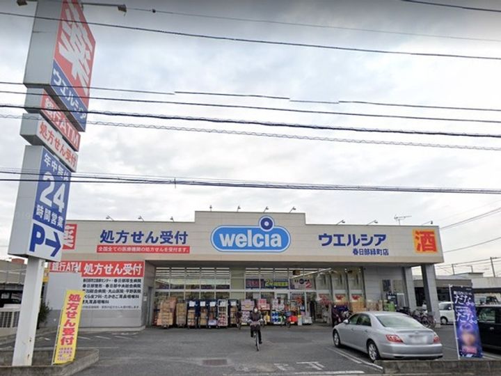 埼玉県春日部市南4(一戸建)の賃貸物件の周辺