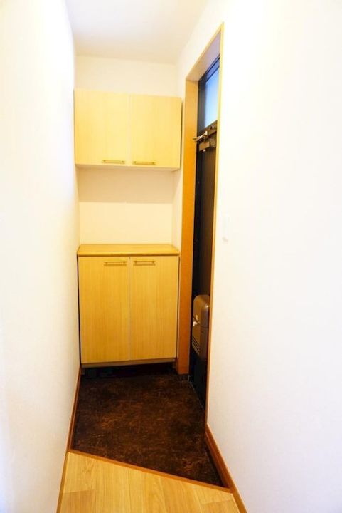 ネオ・ウィステリアAの玄関