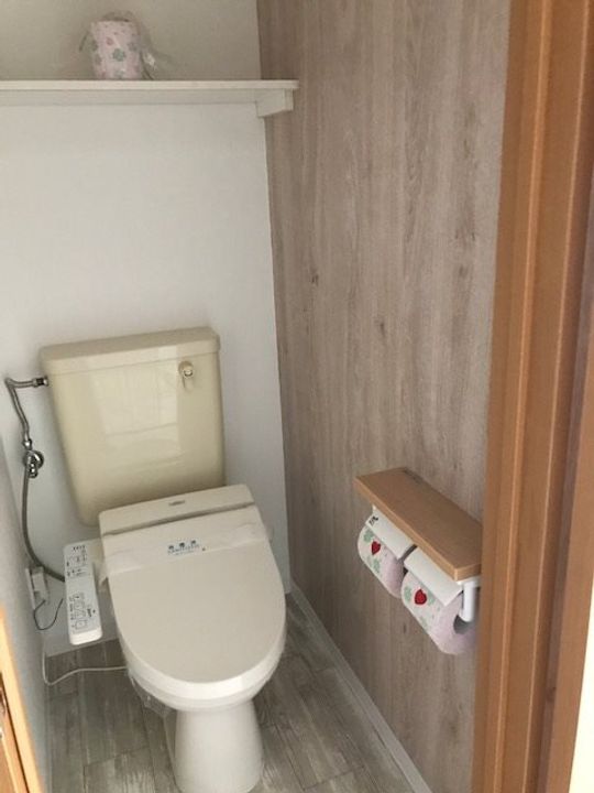 山梨県中巨摩郡昭和町清水新居(マンション)の賃貸物件の内装