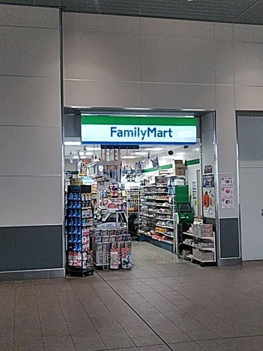 埼玉県さいたま市岩槻区西原(一戸建)の賃貸物件の周辺