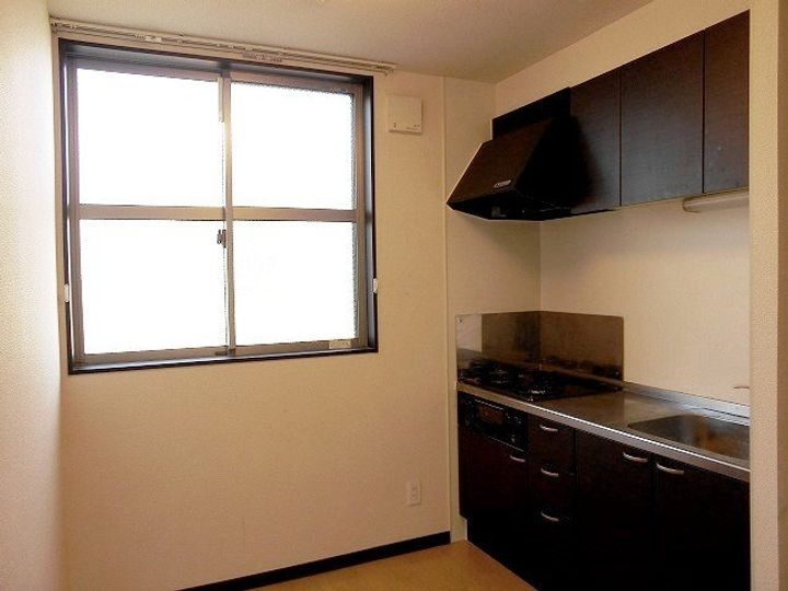 レオネクストジゴジ3のキッチン