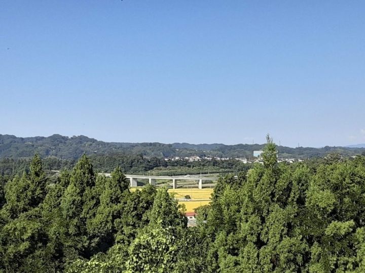 中里ハイツのその他画像