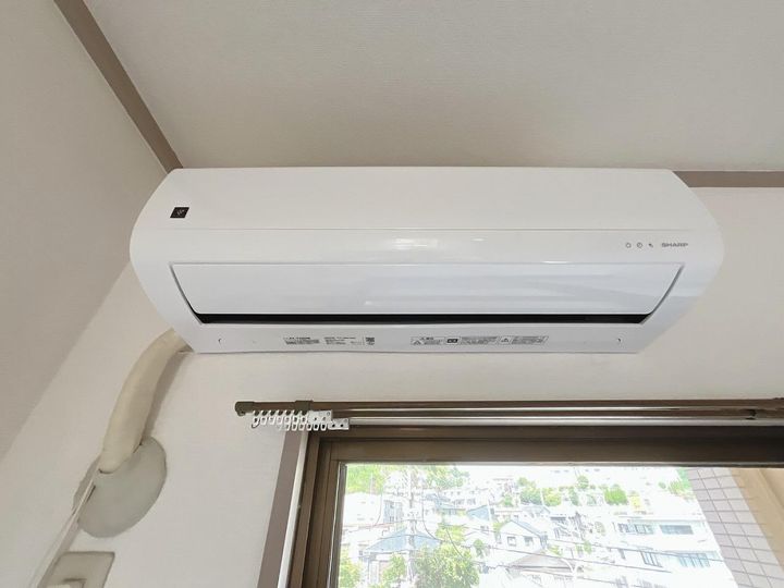 アゼリアのその他画像