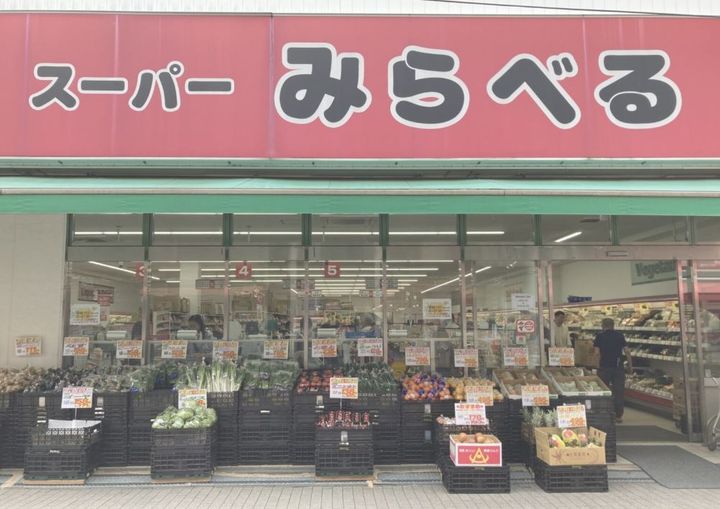 東京都北区東十条5(一戸建)の賃貸物件の周辺