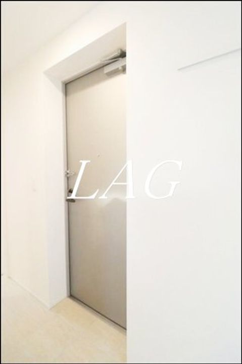 東京都豊島区南池袋1(マンション)の賃貸物件の玄関