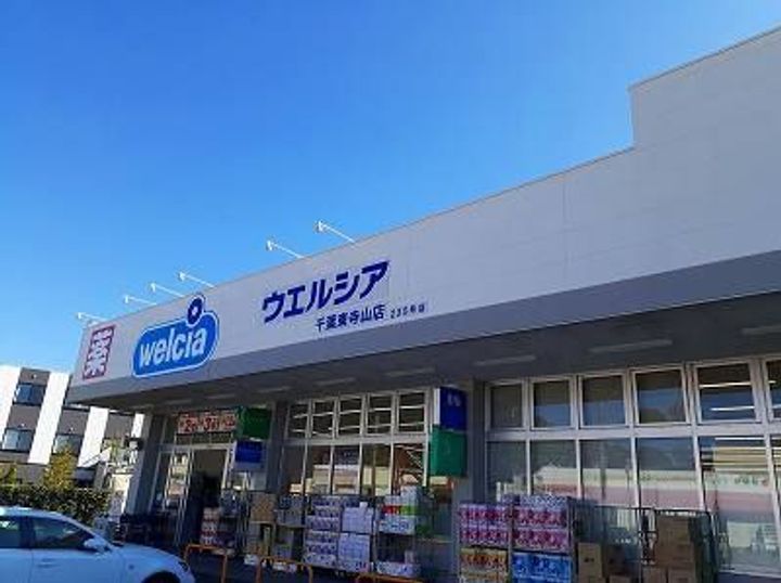 Y’S oneの周辺