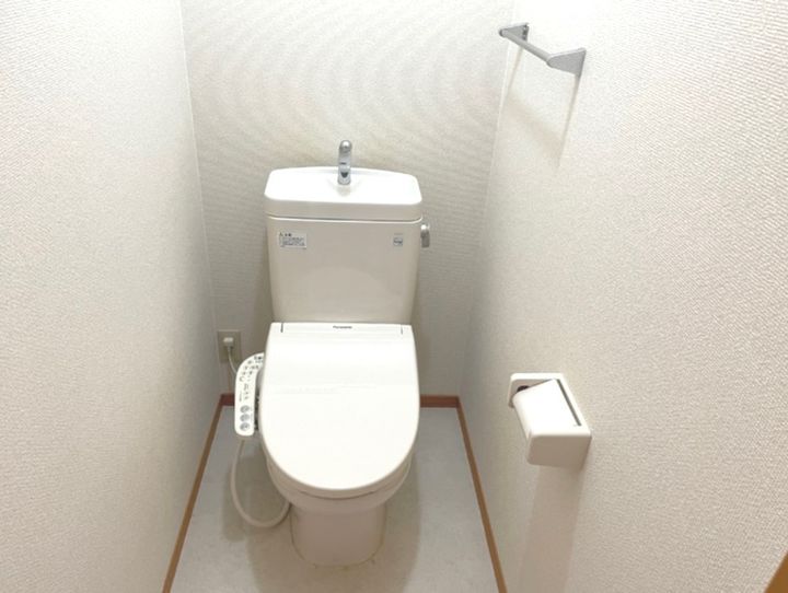 大阪府泉大津市板原(アパート)の賃貸物件の内装