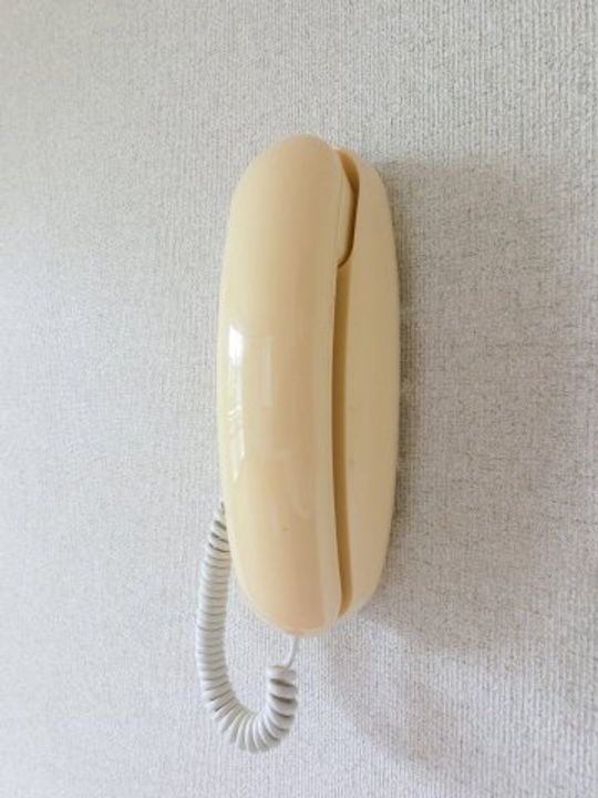 千葉県成田市公津の杜5(アパート)の賃貸物件の内装