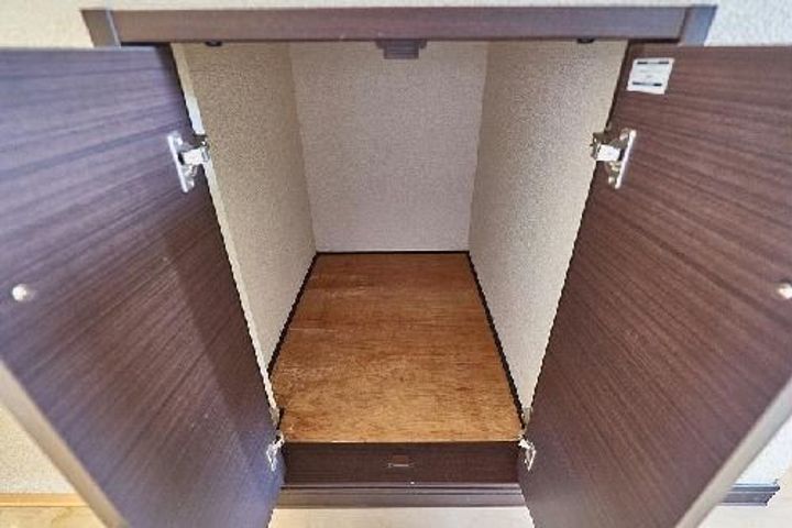 レオネクストカイトIIのその他画像