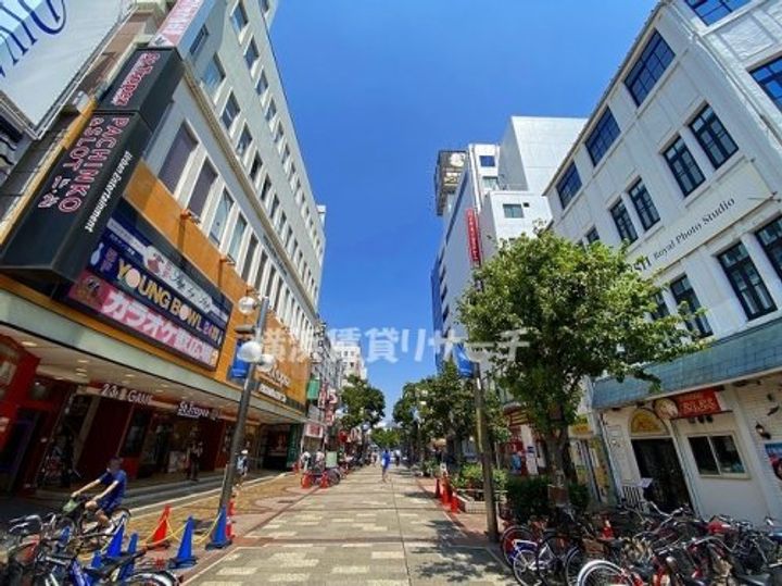 ベルシード野毛山公園の周辺