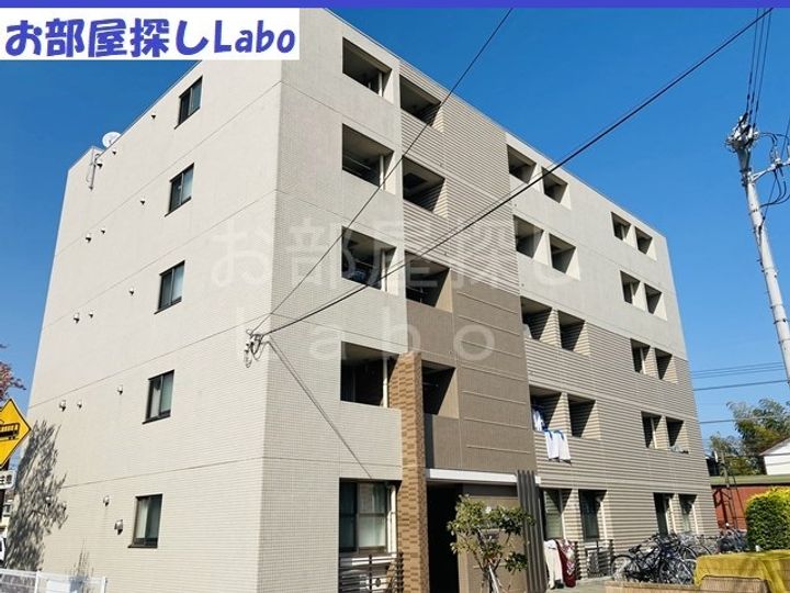 神奈川県小田原市池上(マンション)の賃貸物件の外観