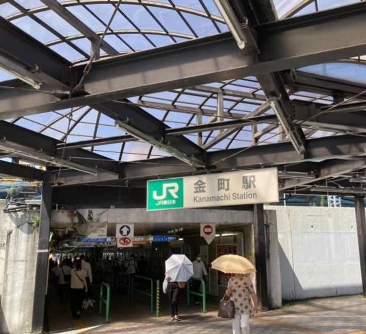 DIPS金町レジデンスの周辺
