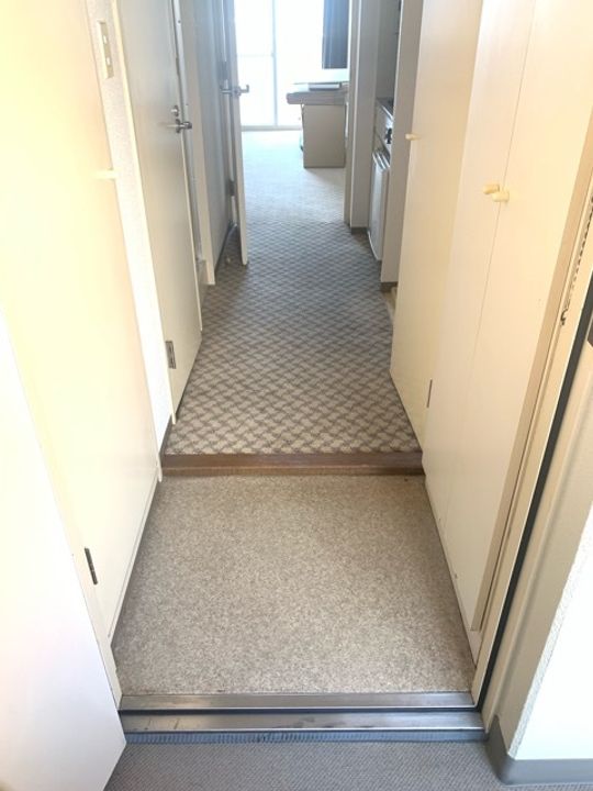 ダイアパレス高田本町の玄関